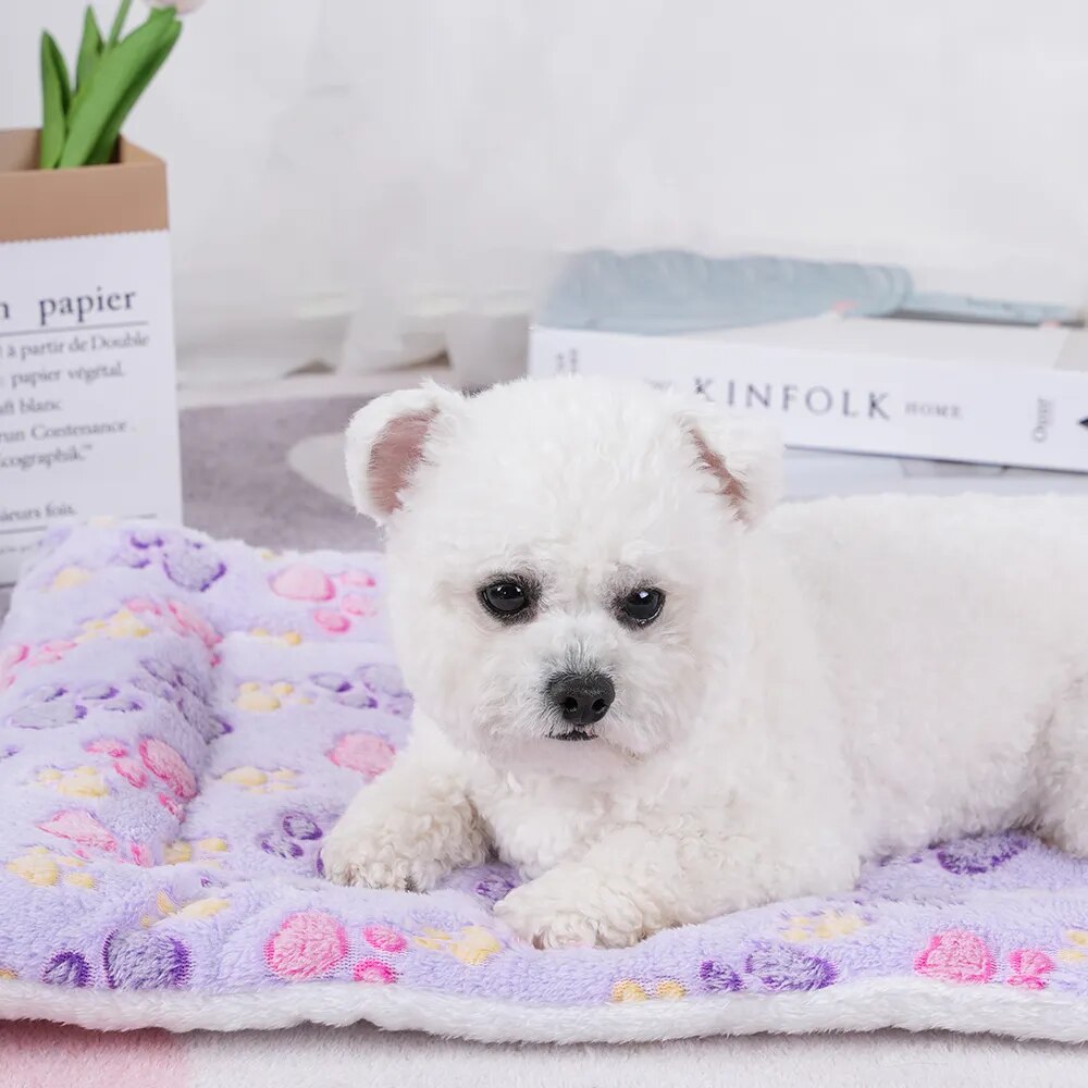 Cushie Blanket